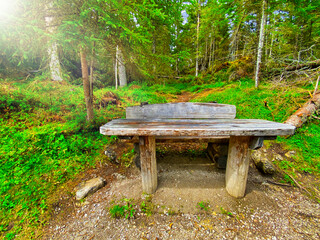 Beautiful bench along the forest, Italian Alps