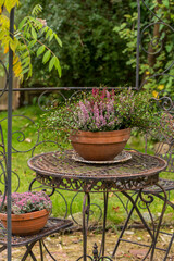 Autumn Still Life With Heather