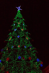 Decorated Christmas tree with multi-colored lights at night