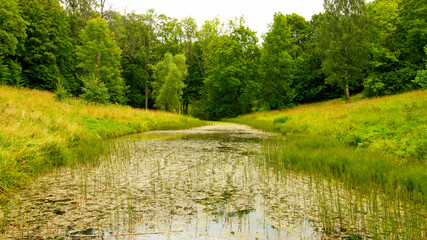 Fototapeta na wymiar Abandoned pond in the park on Duderhof heights. August.