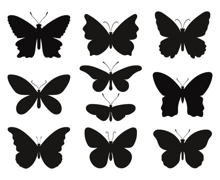 Butterfly silhouettes set. Black stencils shapes of butterflies and moths, contours spring papillon, vector illustration symbols of outlines fauna creatures isolated on white backgr