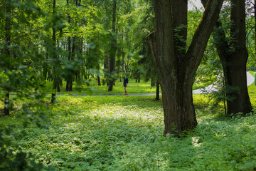 summer skier in the park