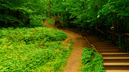 Duderhof heights, Russia. Stairs in deciduous forest at summer day.
