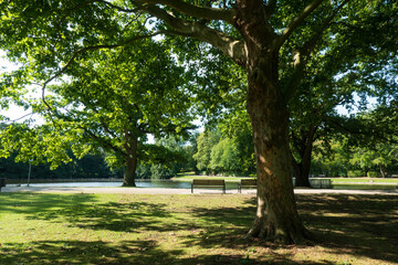 Der Hangeweiher in Aachen - ein beliebter Park im Herzen der Stadt