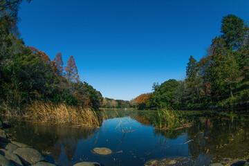 日本の公園の風景