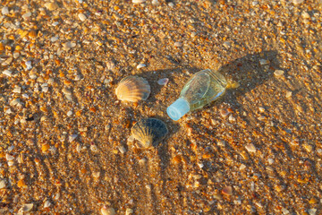 Beautiful shells and a bottle of clear liquid on the sand by the sea. A blue glass bottle of perfume or oil lies by the ocean.