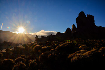 Landscape in Tropical Volcanic Canary Islands Spain
