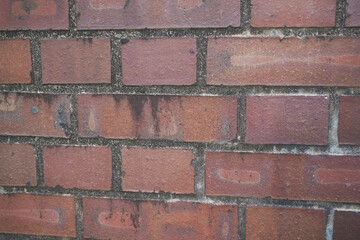 レンガの壁
