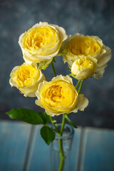 バラの花　スタジオ撮影