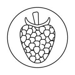 Rounded the raspberry fruit line art icon for apps and websites