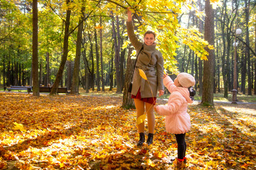 Fototapeta premium Autumn park. A smiling woman with her daughter collect yellow leaves. A walk in the park with child.
