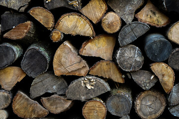 Pile of wood logs ready for winter. Wood logs texture background