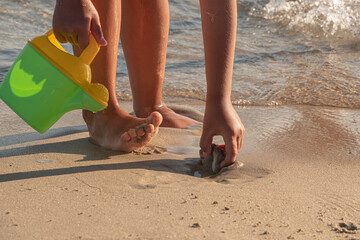 Little kid playing with bucket toys and walking on the beach at sunset.
