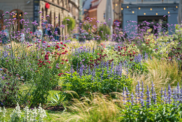 nice flowers in the garden