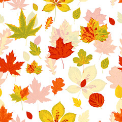 Seamless forest pattern with autumn leaves. Fall background. Vector wallpaper.