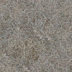 dry grass texture