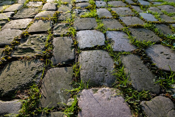 Kopfsteinpflaster Weg Stra&szlig;e Deutschland Basalt Steine alt historisch Pavement Unkraut Gras Gr&auml;ser Moos Fugen Spalten Ritzen Vegetation Abendlicht Sonne Schatten Struktur Hof gepflastert alt Nostalgie