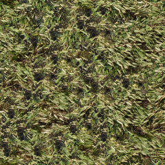 green grass texture