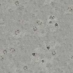footprint in the stone