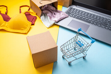 Courier box and shopping cart, female online shopping concept