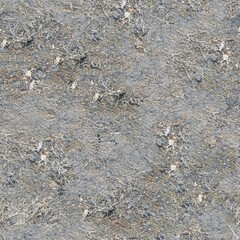 texture of the ground