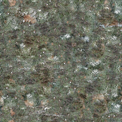 green moss on the stone