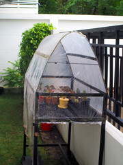 mini plant house  for cactus