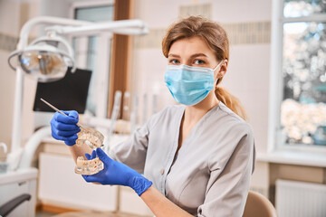 Teeth anatomy explained for better dental care