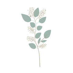 Eucalyptus greenery, natural leaves & branches designer art tropical elements. Hand drawn in watercolor style. Vector decorative beautiful elegant illustration.