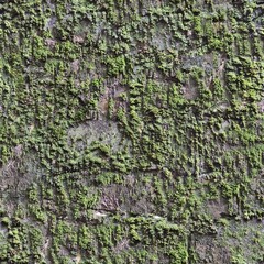 green moss on the stone