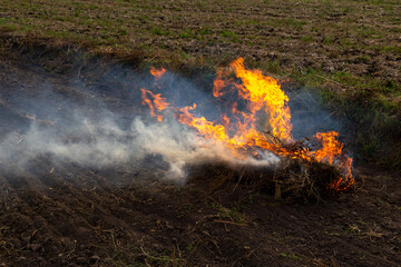 Slash-and-burn agriculture or Stubble burning. Fire being burned on an agricultural field to get rid of remnants of grass after plowing.