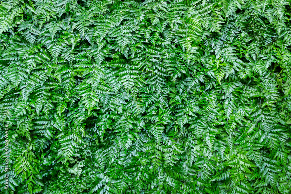 Poster green leaf background overlapping as a background to place text