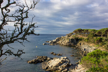 landscape from a mountain looking at the sea with trees