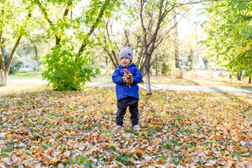 Little boy in autumn park, kid having fun with leaves
