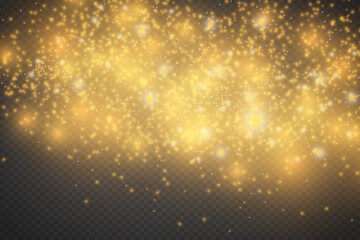 Obraz na płótnie Canvas The dust sparks and golden stars shine with special light. Vector sparkles on a transparent background. Christmas light effect. Sparkling magical dust particles.