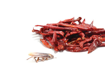  spicy red dried chili is a - spice - cook for people all over the world on a white background.