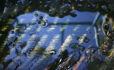 water drops on the green leaf