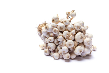 Garlic is an herb and spice. On a white background