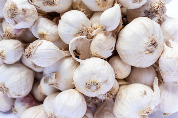 Garlic is an herb and spice. On a white background