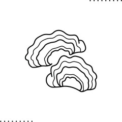 Agaricomycetes, white rot vector icon in outline