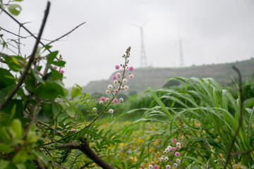 LANDSCAPE GREEN HILL WITH WIND MILL & TREES