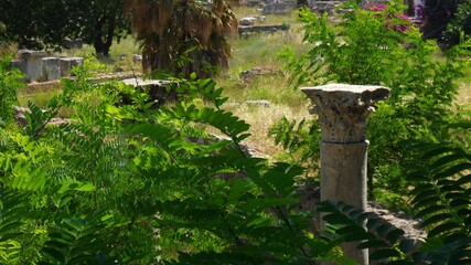 Ruins and a Column with Greenery, Island of Kos