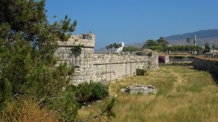 Fototapeta na wymiar Ruins Enveloped by Nature, Island of Kos