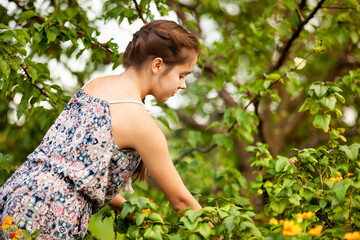 Bowl with juicy fresh berries in hand of young attractive farm girl wearing summer dress outdoors. Beautiful female teenager collecting healthy harvest from bushes in countryside garden.