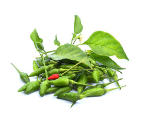 Green chili peppers on white isolated background