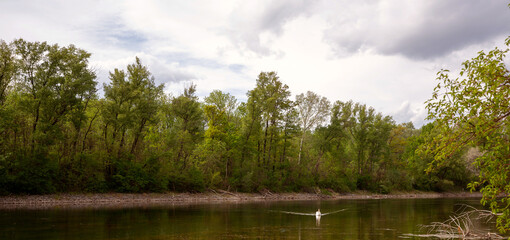 Lobau - Wien - Österreich
