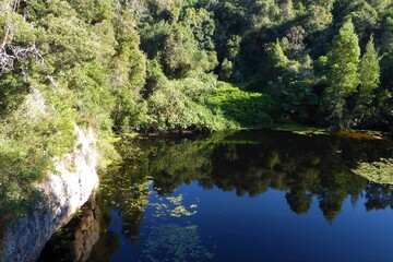 Fototapeta na wymiar Beautiful View from a Bridge over a Forest Pond at Wilderness, South Africa