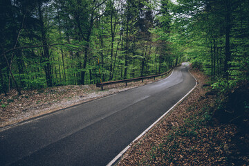 beautiful mountain road in the woodland Concept of life on the road and travel