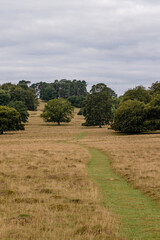 Morning walk around Petworth Park, Petworth, West Sussex, England, UK