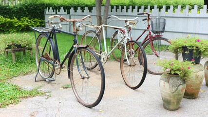 old bicycle in the park